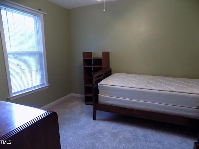 195 Eagle Stone Rdg, Youngsville, NC 27596 - photo 31