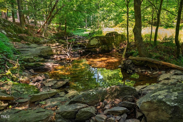 2330 Thunder Rd, Durham, NC 27712 - view of woods