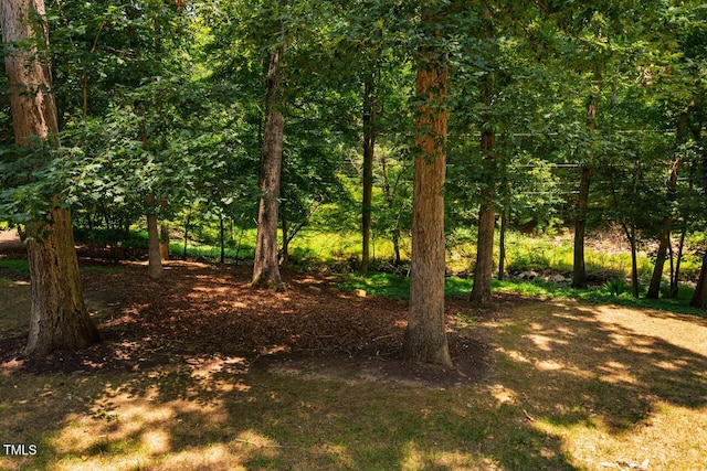2330 Thunder Rd, Durham, NC 27712 - view of undeveloped land