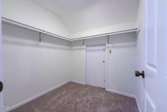 2330 Thunder Rd, Durham, NC 27712 - walk in closet with carpet floors and lofted ceiling