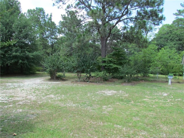310 N Farmers Rd, Fayetteville, NC 28311 - view of grassy yard