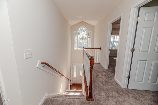 10 Wood Stream Trl, Sanford, NC 27332 - photo 24