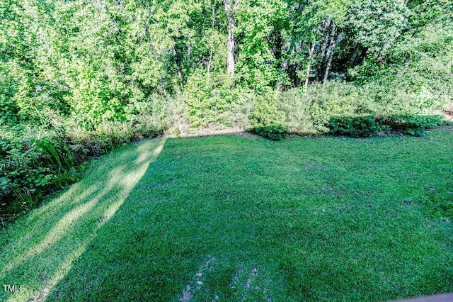 10 Wood Stream Trl, Sanford, NC 27332 - photo 11