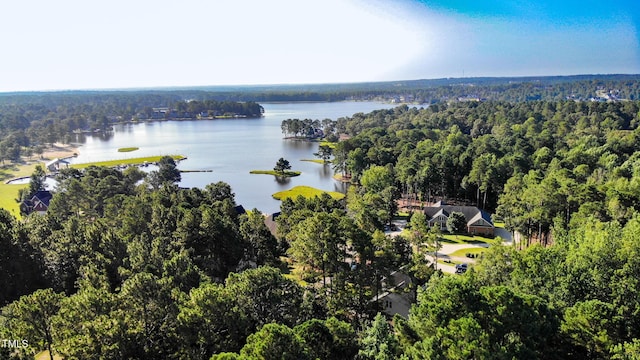10 Wood Stream Trl, Sanford, NC 27332 - photo 4