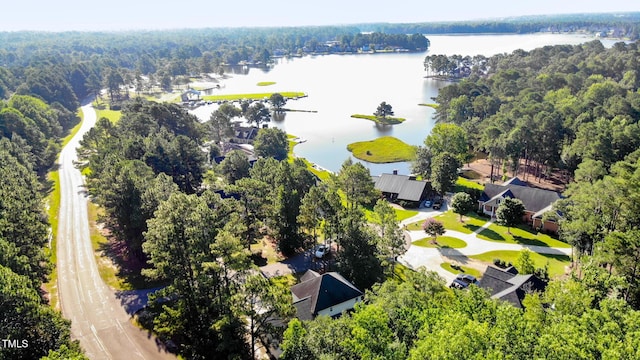10 Wood Stream Trl, Sanford, NC 27332 - photo 7