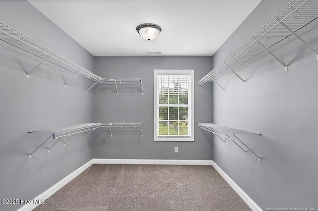 2441 Lakeview Dr, Fayetteville, NC 28306 - photo 36