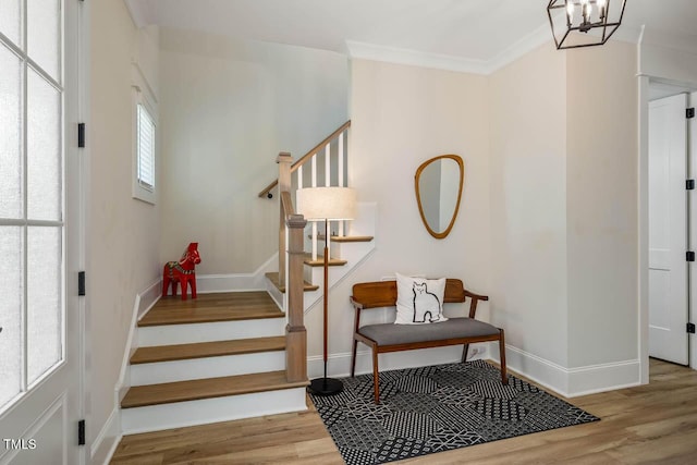 309 N Mason St, Apex, NC 27502 - stairway with wood finished floors, ornamental molding, and a chandelier