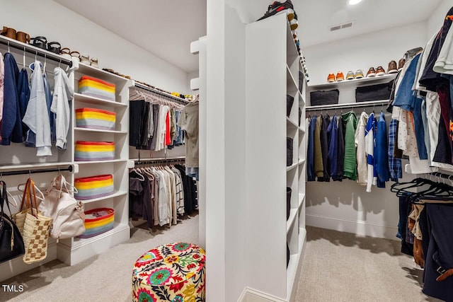309 N Mason St, Apex, NC 27502 - walk in closet with carpet