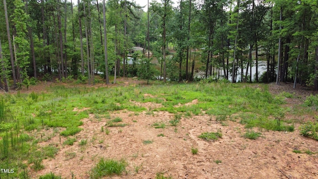 18 Stonecrop Cir, Littleton, NC 27850 - photo 25