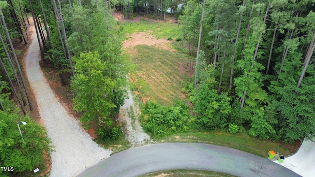 18 Stonecrop Cir, Littleton, NC 27850 - photo 3