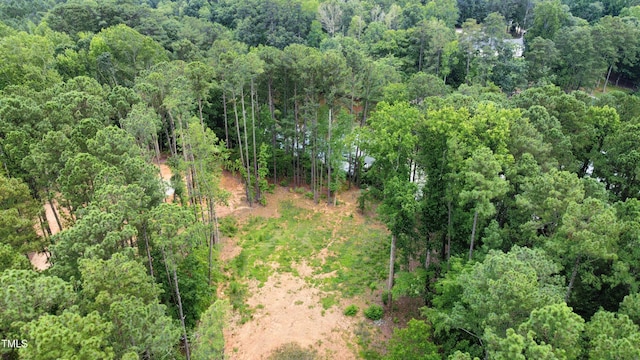 18 Stonecrop Cir, Littleton, NC 27850 - photo 29