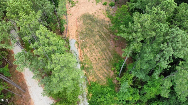 18 Stonecrop Cir, Littleton, NC 27850 - photo 30