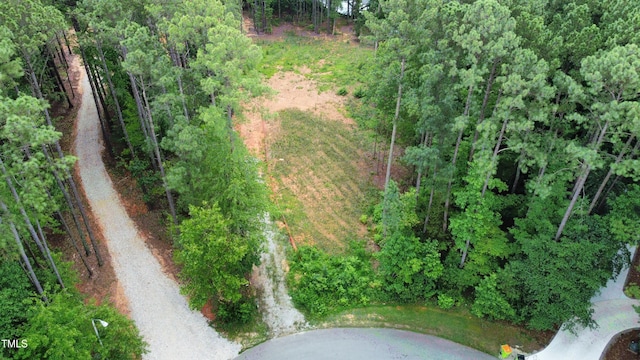 18 Stonecrop Cir, Littleton, NC 27850 - photo 4