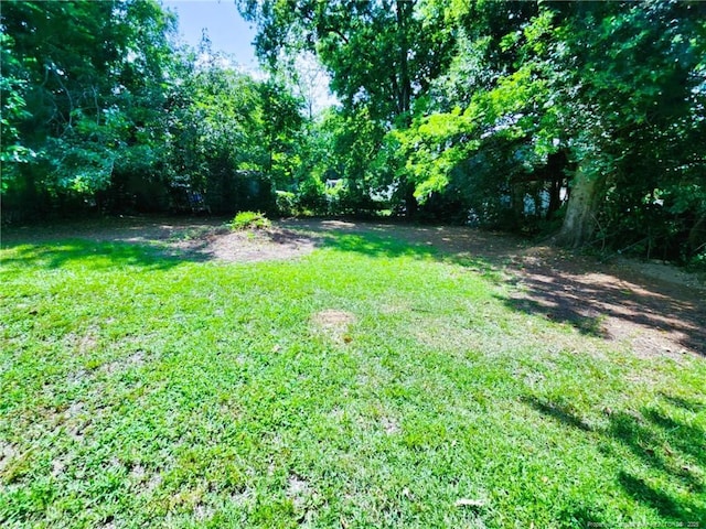 1207 Hillsboro St, Fayetteville, NC 28301 - photo 6