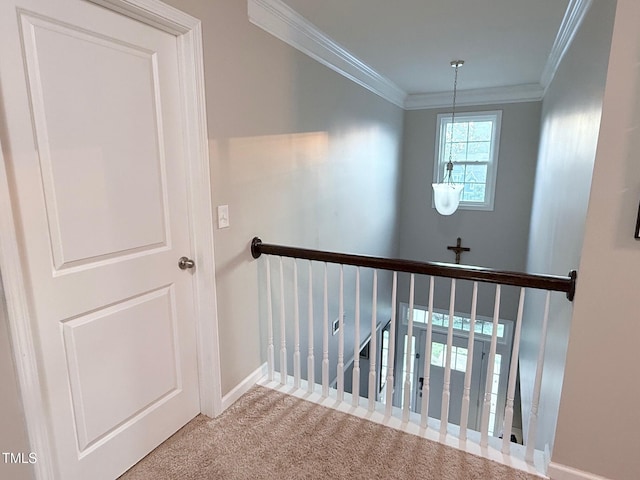 90 E Calvert Ct, Clayton, NC 27527 - stairway with carpet floors and crown molding