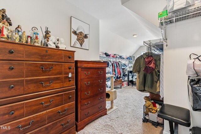 90 E Calvert Ct, Clayton, NC 27527 - spacious closet with carpet floors and lofted ceiling