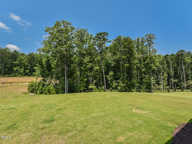 3666 Jordan Estates Way, New Hill, NC 27562 - view of green lawn