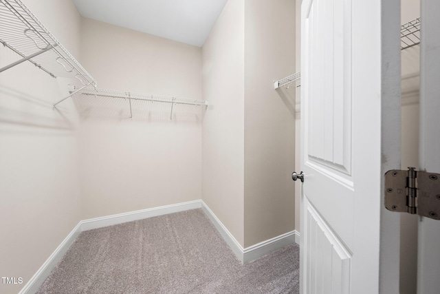 316 Rapport Dr, Cary, NC 27519 - walk in closet with carpet flooring