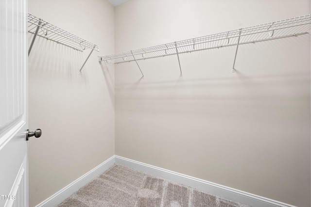 316 Rapport Dr, Cary, NC 27519 - spacious closet with carpet flooring