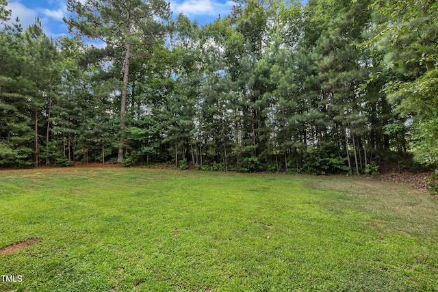 2003 Zbonack Ct, Creedmoor, NC 27522 - photo 29