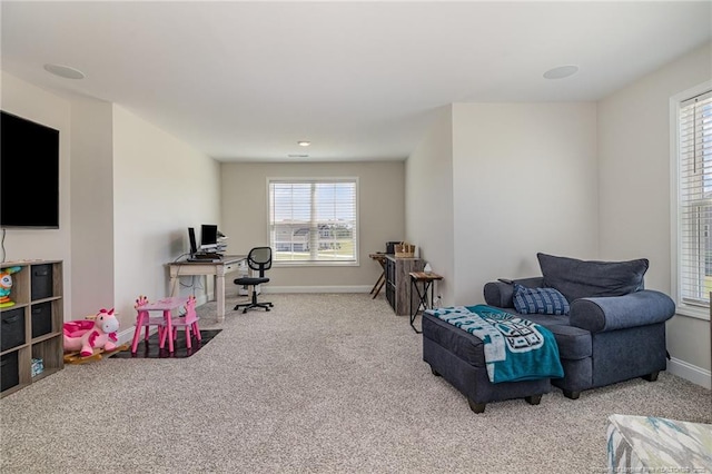 343 Rocking Horse Ln, Raeford, NC 28376 - photo 23