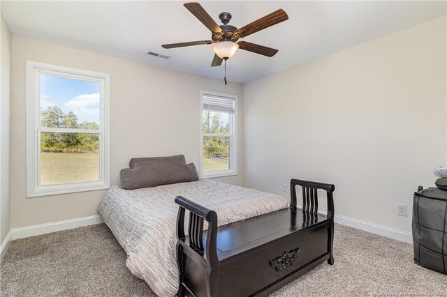 343 Rocking Horse Ln, Raeford, NC 28376 - photo 21