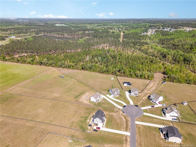 343 Rocking Horse Ln, Raeford, NC 28376 - photo 35