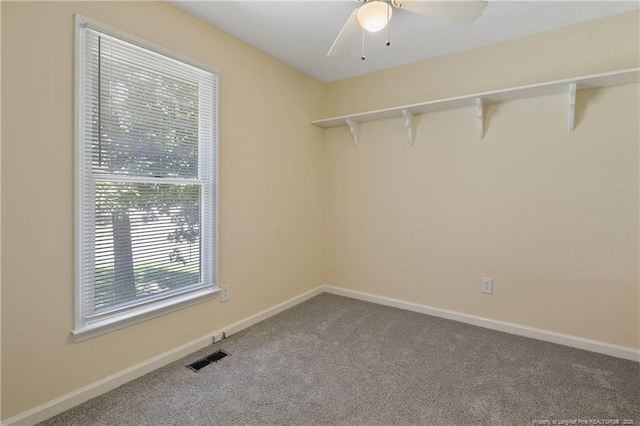 1263 Exeter Ln, Fayetteville, NC 28314 - photo 39