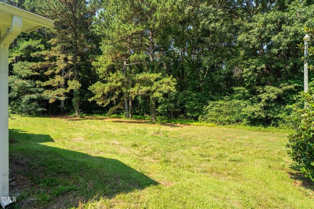 545 Barnette Rd, Louisburg, NC 27549 - photo 34