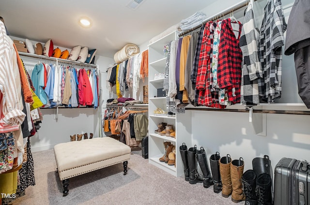 3082 Cascade Dr, Burlington, NC 27217 - spacious closet featuring carpet floors