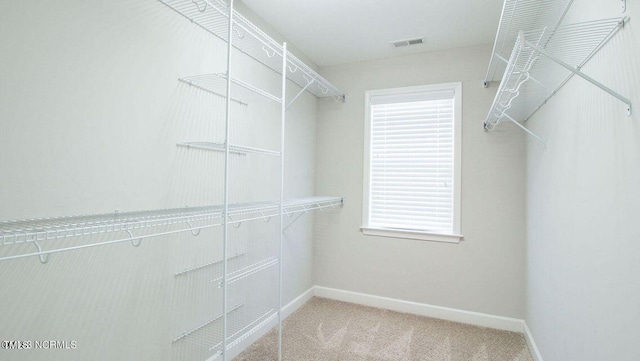 104 Cedric Ct, Goldsboro, NC 27530 - photo 9