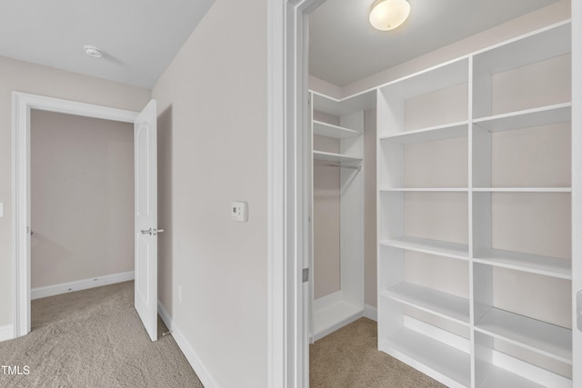 936 Blue Bird Ln, Wake Forest, NC 27587 - spacious closet featuring carpet