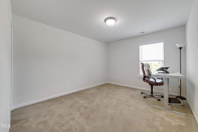 424 Brook Pine Trl, Apex, NC 27523 - photo 35