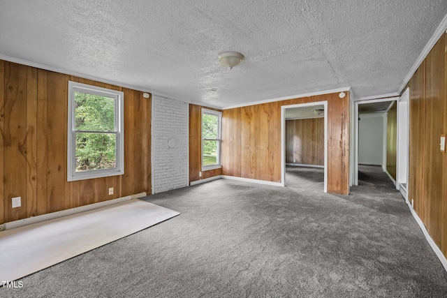 302 Allen Ave, Franklinton, NC 27525 - carpeted empty room featuring plenty of natural light, wooden walls, and a textured ceiling