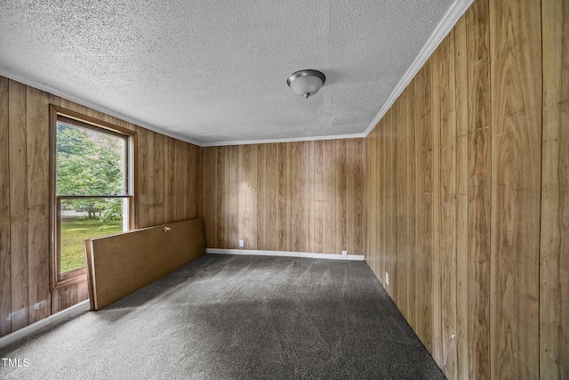 302 Allen Ave, Franklinton, NC 27525 - carpeted spare room with a textured ceiling and wooden walls