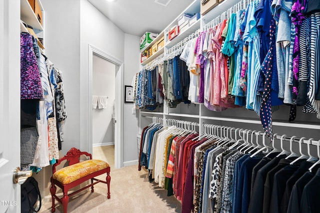 1066 Bingley Dr, Durham, NC 27703 - walk in closet featuring carpet floors