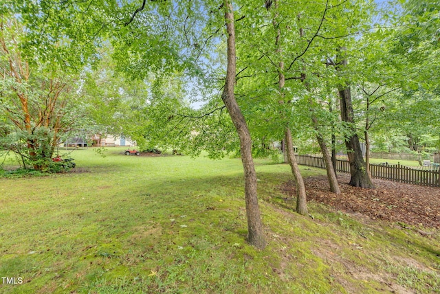 7 Nadeau Ct, Durham, NC 27704 - view of yard