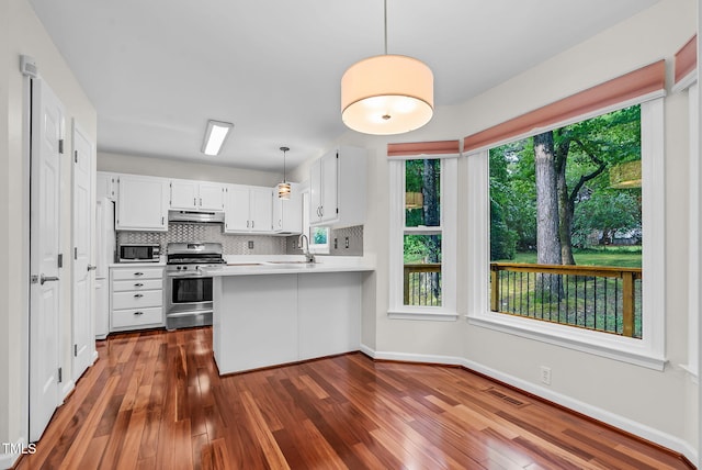 7 Nadeau Ct, Durham, NC 27704 - kitchen with appliances with stainless steel finishes, under cabinet range hood, dark wood-style flooring, a peninsula, and light countertops