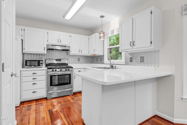 7 Nadeau Ct, Durham, NC 27704 - kitchen with stainless steel appliances, under cabinet range hood, a peninsula, light wood finished floors, and light countertops