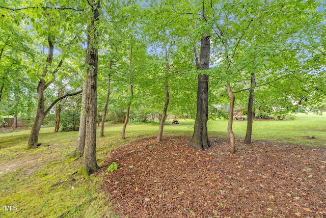 7 Nadeau Ct, Durham, NC 27704 - view of grassy yard