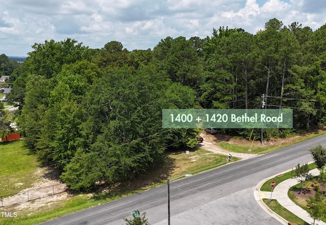 1400 Bethel Rd, Raleigh, NC 27610 - photo 4