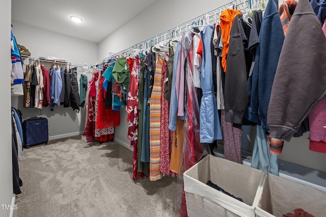 1304 Bromby Ave, Knightdale, NC 27545 - spacious closet with carpet
