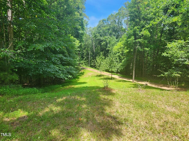 1080 Kudzu Ln, Danbury, NC 27016 - view of grassy yard with a view of trees