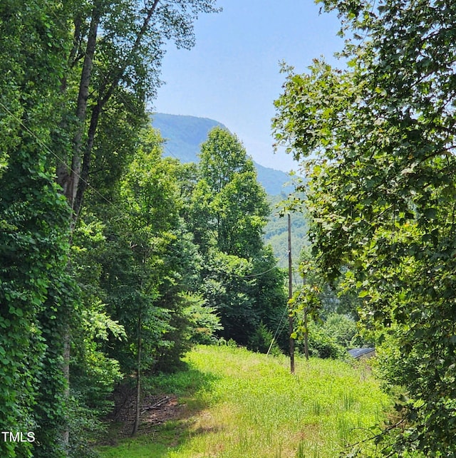 1080 Kudzu Ln, Danbury, NC 27016 - view of mountain backdrop with a heavily wooded area