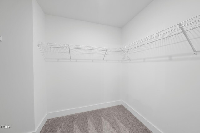 1254 Camden Ave, Durham, NC 27701 - walk in closet with carpet