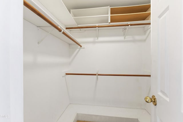 2944 Ballybunion Way, Raleigh, NC 27613 - view of walk in closet