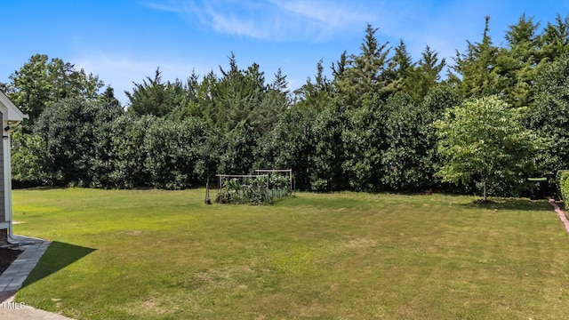 1012 Tavernier Knoll Ln, Raleigh, NC 27603 - view of green lawn