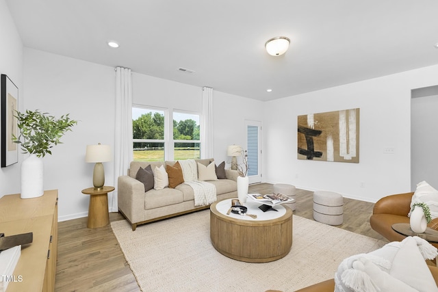 34 Mable Ct Unit 22, Lillington, NC 27546 - living area featuring wood finished floors and recessed lighting