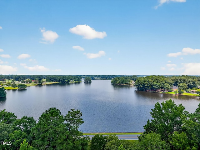 710 Lake Shore Dr, Goldsboro, NC 27534 - photo 65