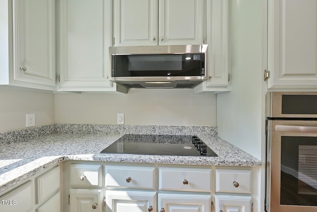 369 Historic Village Dr, Roxboro, NC 27574 - kitchen featuring appliances with stainless steel finishes, white cabinetry, and light stone countertops